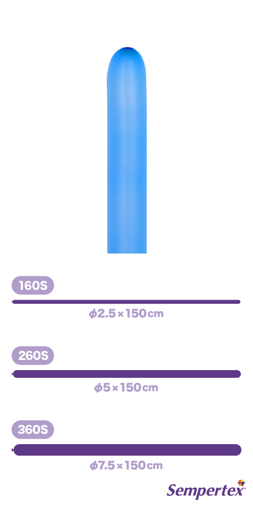 SM260S �ͥ��� �֥롼 SEM80547