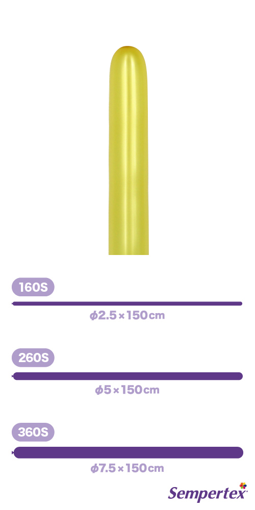 SM260S �᥿��å� ������� SEM80827