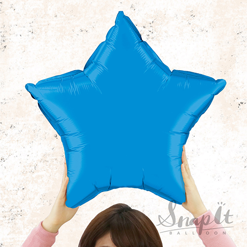 䢣ʥåץåȥХ롼 20" ե֥롼SIB12624