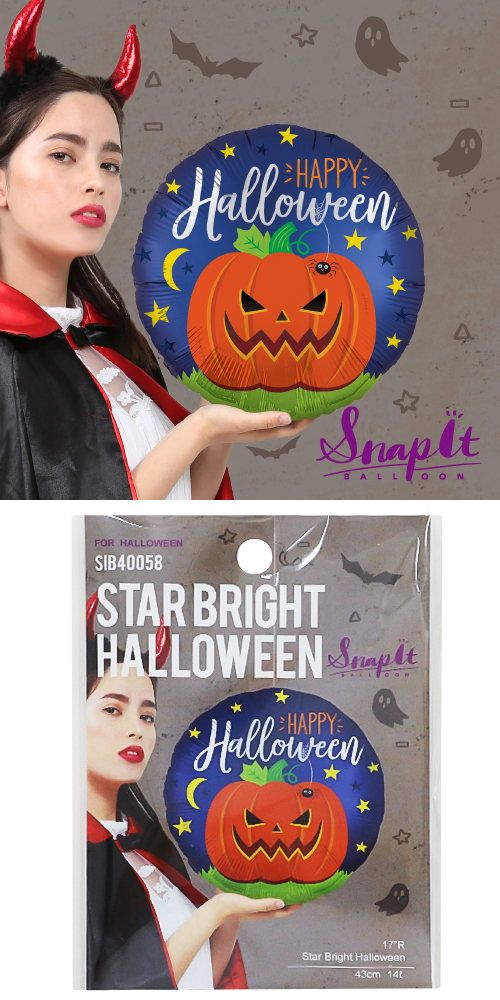 䢣ʥåץåȥХ롼 17R֥饤ȥϥSIB40058