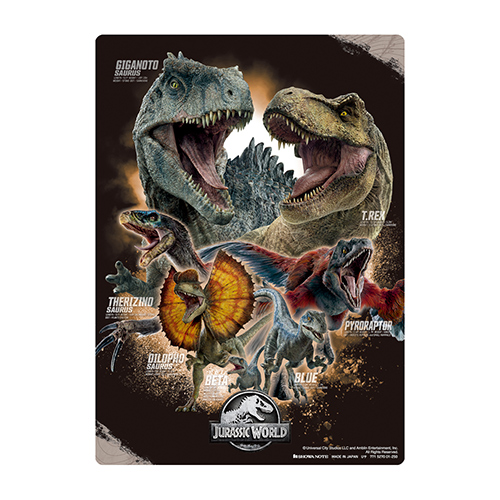 䢣ߤ饷å SWNBG20874