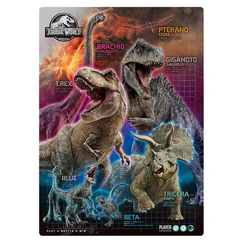 䢣饷åɡߤ SWNBG20881