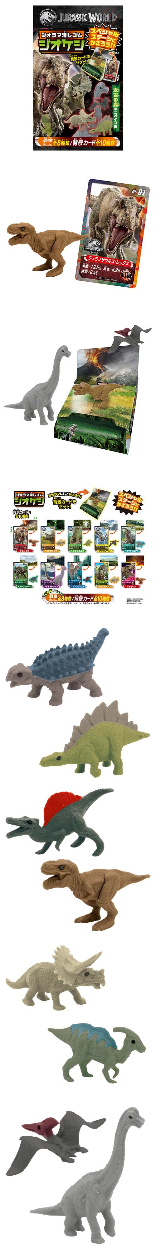 䢣޾äॸ饷å SWNBG76312