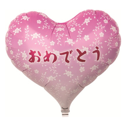 IB꡼ϡ14ǤȤ (NPˡTKR03924