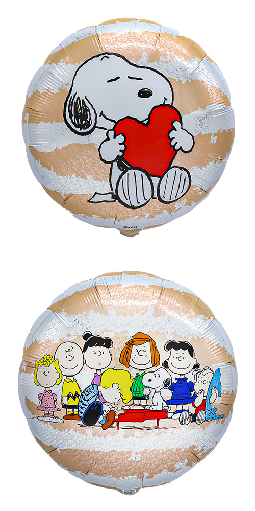 ֥åХ롼14PEANUTSɥȥ饤 TKR05486