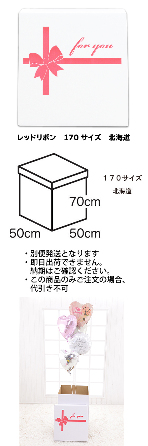 �����䢣���ե����ۥ磻�ȥܥå�������åɥ�ܥ�170�������̳�ƻ��TND023791