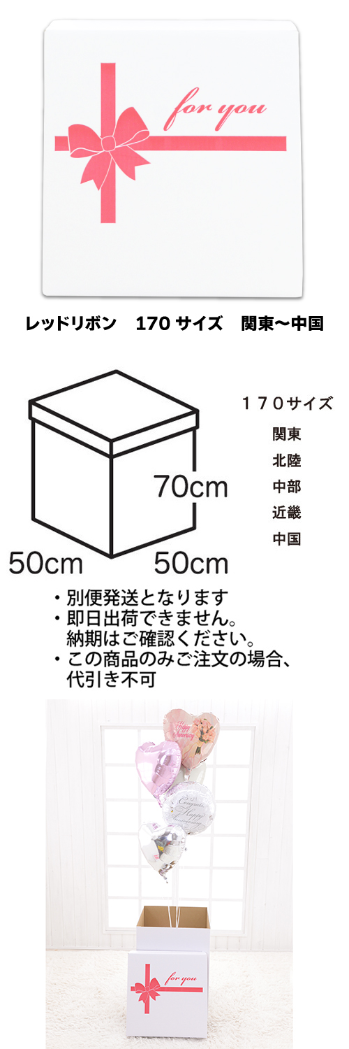 �����䢣���ե����ۥ磻�ȥܥå�������åɥ�ܥ�170��������������TND023793