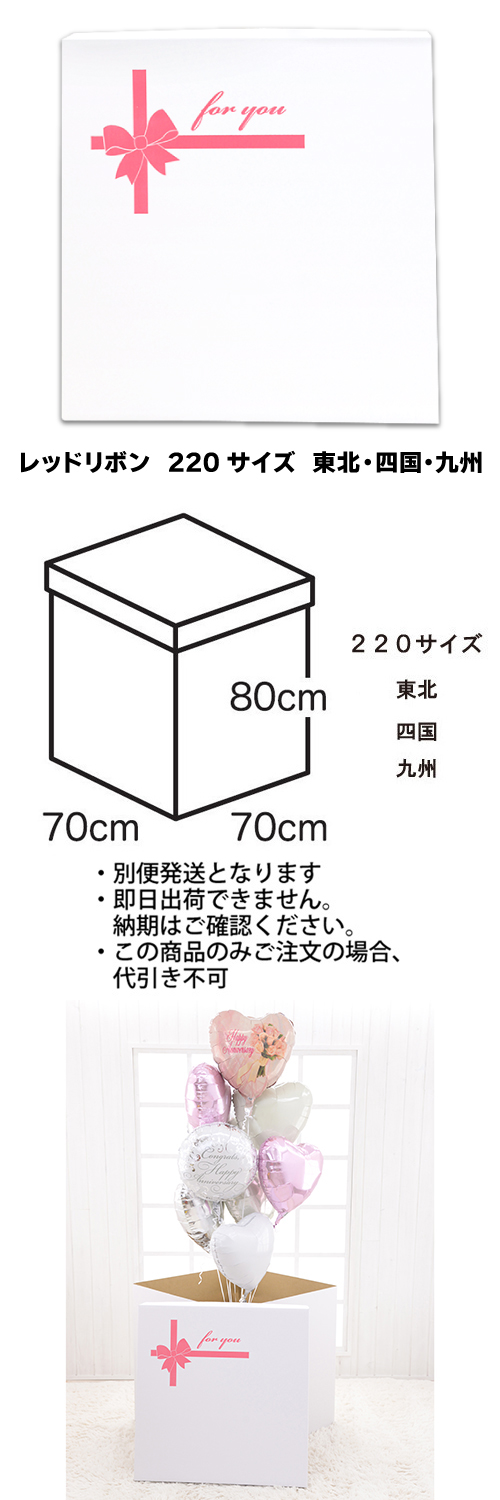 䢣եۥ磻ȥܥååɥܥ220̡͹񡦶彣TND023812