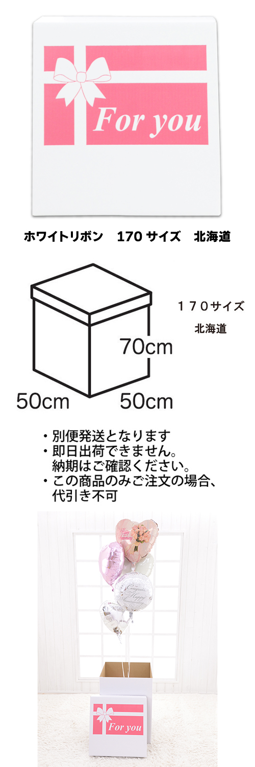 �����䢣���ե����ۥ磻�ȥܥå������ۥ磻�ȥ�ܥ�170�������̳�ƻ��TND023831
