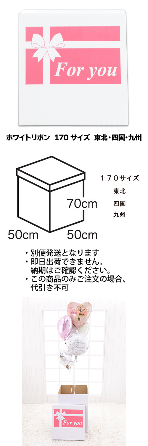 �����䢣���ե����ۥ磻�ȥܥå������ۥ磻�ȥ�ܥ�170���������̡��͹񡦶彣��TND023832