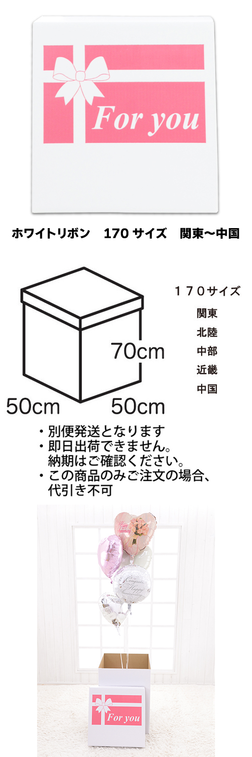 �����䢣���ե����ۥ磻�ȥܥå������ۥ磻�ȥ�ܥ�170��������������TND023833