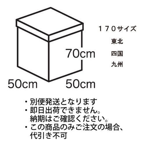 �����䢣�����ե����ۥ磻�ȥܥå���̵��170�����������̡��͹񡦶彣 TND26463