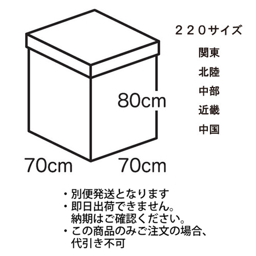 䢣եۥ磻ȥܥå̵220 TND26468