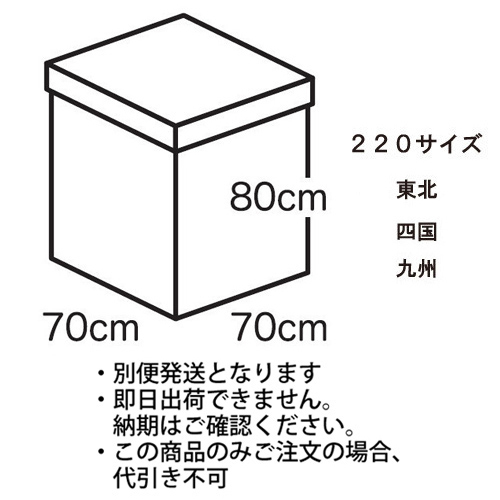 䢣եۥ磻ȥܥå̵220̡͹񡦶彣 TND26469