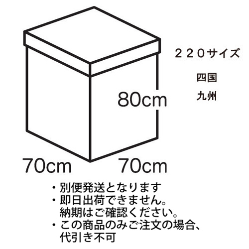 �������䢣�ե����ۥ磻�ȥܥå����祵������220�������˻͹񡦶彣��TNK224084��10��