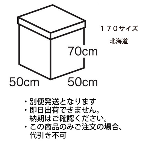 �������䢣�ե����ۥ磻�ȥܥå����極������170�������ˡ��̳�ƻ��TNK224091��10��