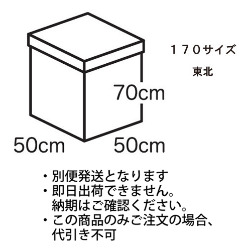 �������䢣�ե����ۥ磻�ȥܥå����極������170�������ˡ����̡�TNK224092��10��