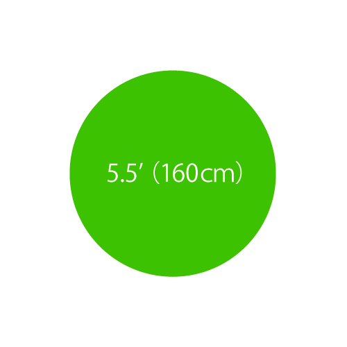 5.5'ܥХ롼󡡥饤ࡡTTK23020