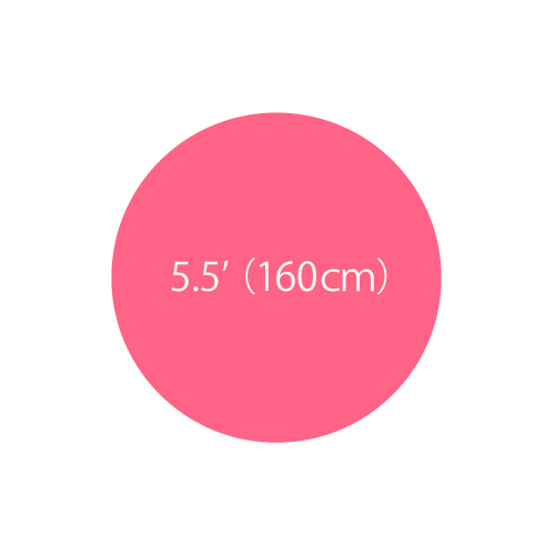 5.5'ܥХ롼󡡥ԥ󥯡TTK23023