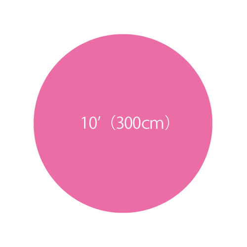 10'ܥХ롼󡡥ԥ󥯡TTK23031