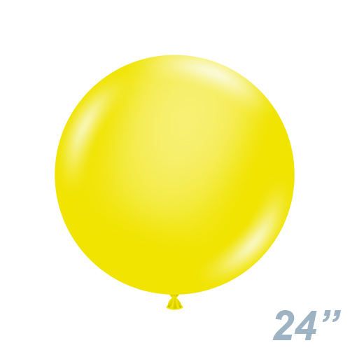 TUF24(61cm) ꥹ  TUF24013