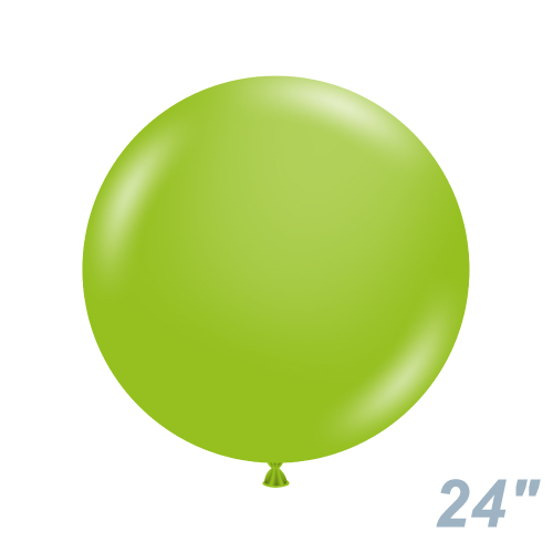 TUF24(61cm) ѥƥ롡饤॰꡼ TUF24064