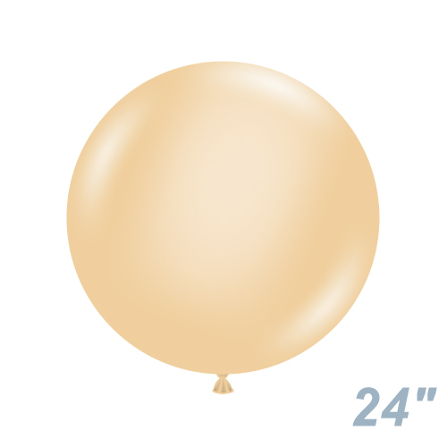 TUF24(61cm) ѥƥ롡֥å TUF24073