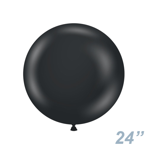 TUF24(61cm) ե ɥ TUF24074