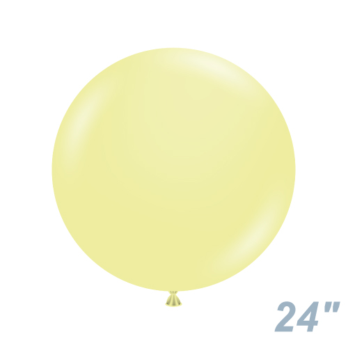 TUF24(61cm) ѥƥ롡͡ TUF24083