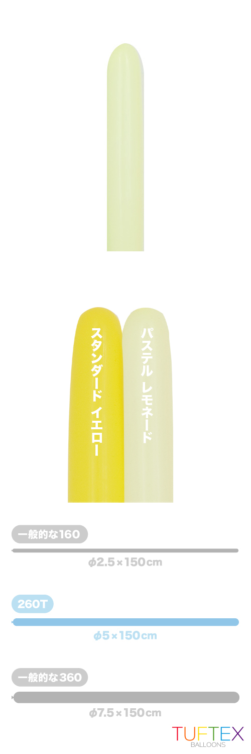 TT260T ѥƥ ͡ TUF26083