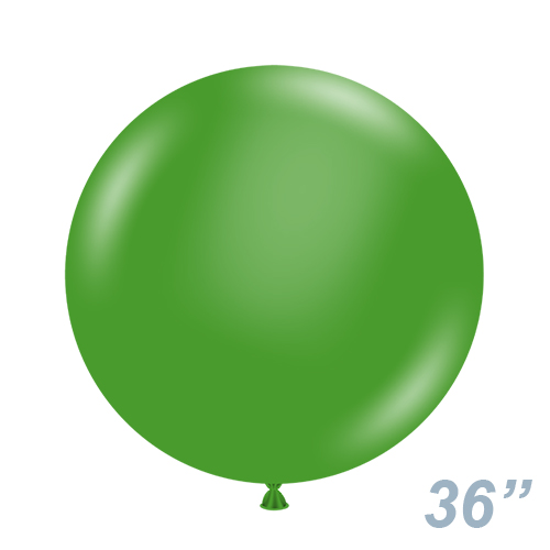 TUF36(91cm)  ꡼ TUF36004