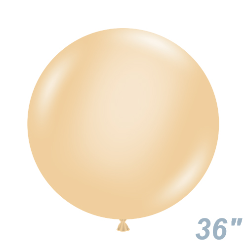 TUF36(91cm) ѥƥ ֥å TUF36073