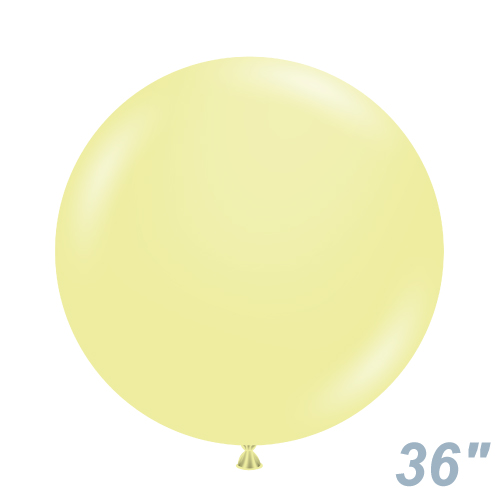 TUF36(91cm) ѥƥ ͡ TUF36083