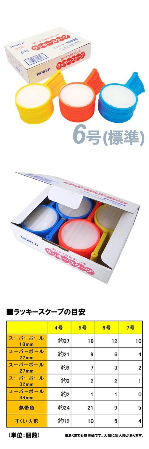 ڥòۥå6ɸ WRDNS20020