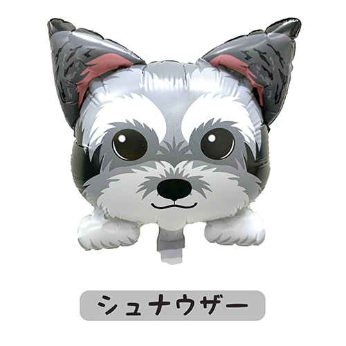 ߥˤ󤳥Х롼󡡥ʥ YKH37744