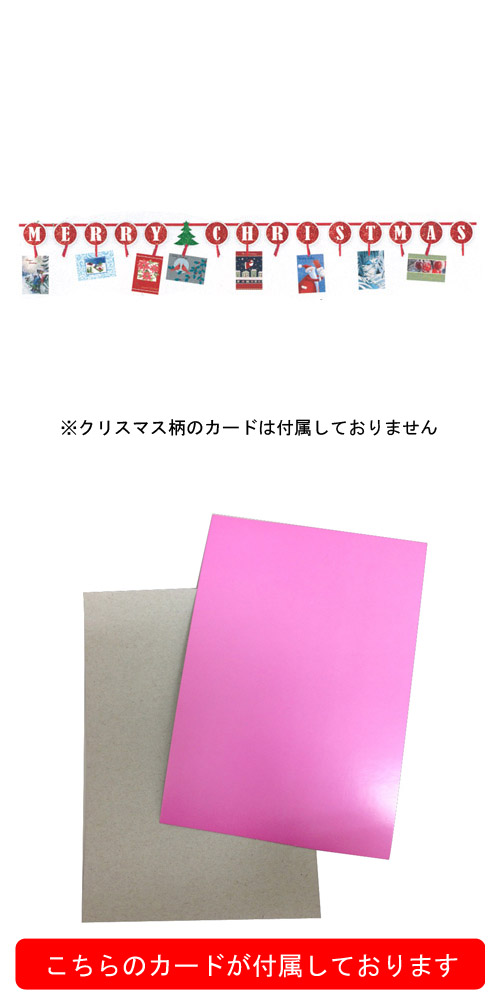 ߸˸¤50OFF뢣PGɥꥹޥɥۥPG220103(ꥹޥɤ°Ƥޤ)