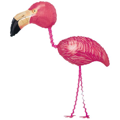 �����䢣AG�������������������ȥ��ԥ���ե�ߥ󥴡���ANG03910