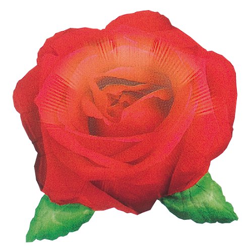 �����䢣AG��LSHP���������ե��ȥ���ա���ANG05983