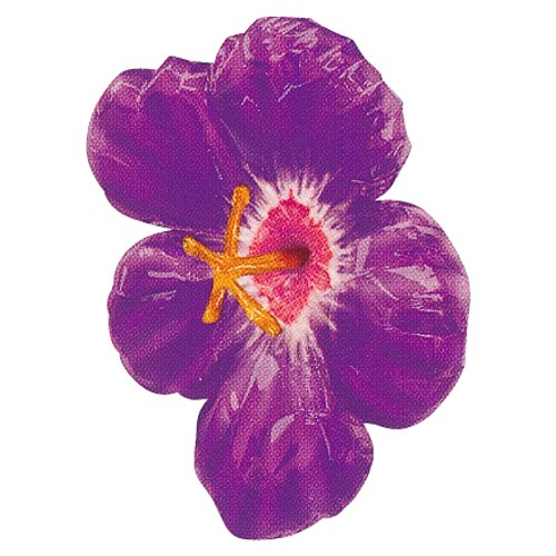 �����䢣AG3-D���ϥ��ӥ������ѡ��ץ롡ANG08820