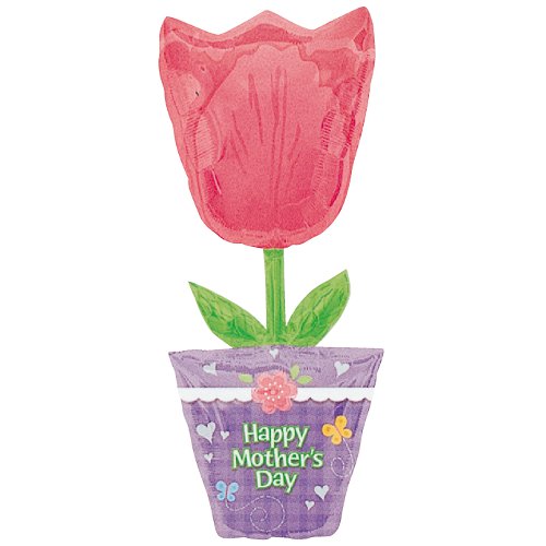 ���߸˸¤ꢣAG LSHP���ޥ������ǡ����塼��åס�ANG10752