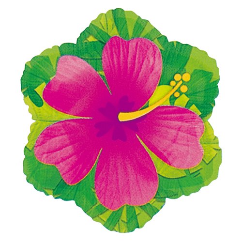 �����䢣AG18"SHP���ԥ󥯥ϥ��ӥ�������ANG16085