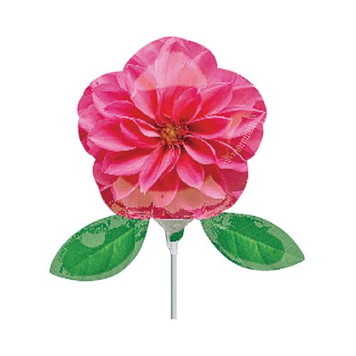 �����䢣AG�ߥ�SHP���ե��ȥ���ե��å��ԥ󥯥ե���ANG19463��