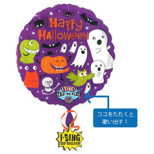 �����䢣AG���󥰥����塼�󡡥Υåȥ��ե쥤�ɥ��֥������ȡ�ANG20019 ��B4V-2��