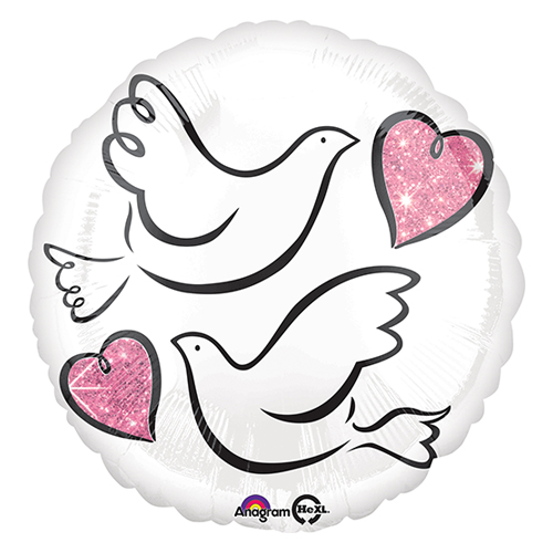 AG17"ǥ󥰥֥ANG34461