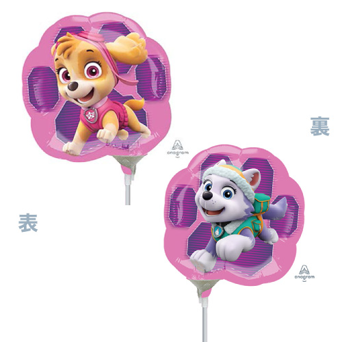 AGߥSHP ѥѥȥ 륺 ANG34496