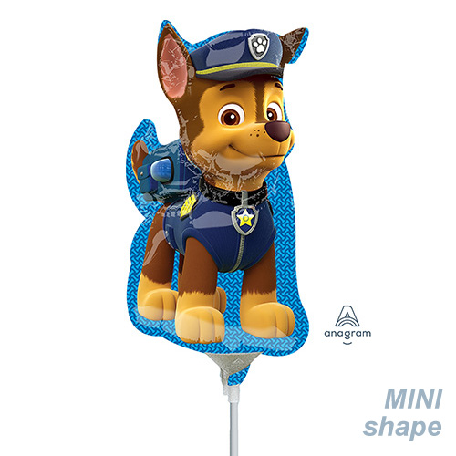 AGߥSHP ѥѥȥ  ANG34498