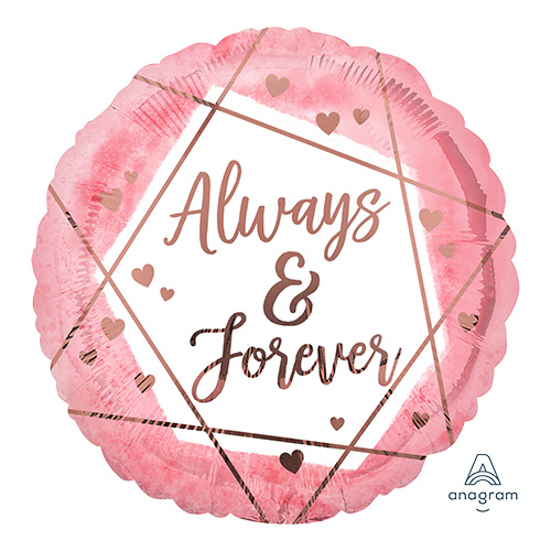 AG17 륦ɥեС顼 ANG41767