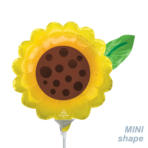 AGߥSHP ե ANG43178