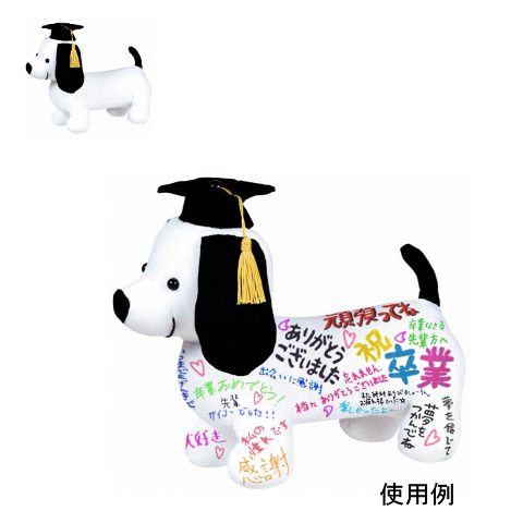 䢣PGե֥åѥԡåɡPG453111