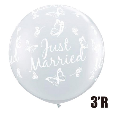 �����䢣QL3'R�����㥹�ȥޥ�åɥХ��ե饤���饦��� ���ꥢ��PIN31563